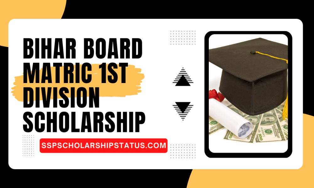 Bihar Board Matric 1st Division Scholarship 2023 24 List Online Apply