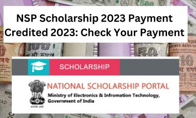 NSP Scholarship 2023 Payment Credited 2023: Check Your Payment