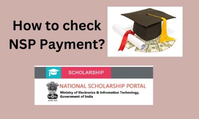 Track NSP Scholarship 2023 Payment And Amount