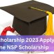 LPF Scholarship 2023 Apply online NSP Scholarship