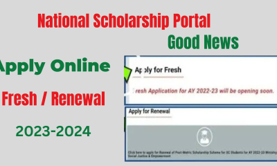 How To Check NSP Scholarship Status, Scholarship Amount – Full Procedure