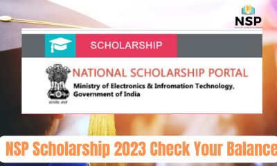 NSP Scholarship 2023 Check Your Balance