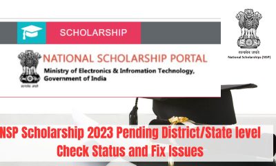 NSP Scholarship 2023 Pending District/State level Check Status and Fix Issues