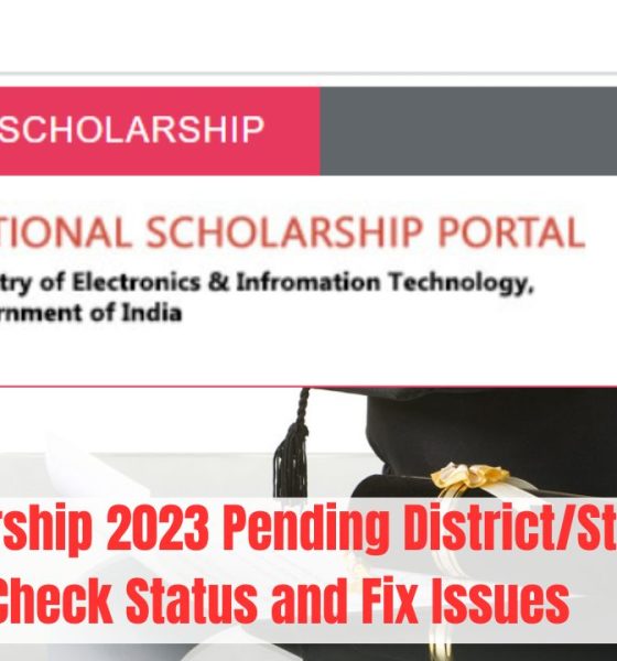 NSP Scholarship 2023 Pending District/State level Check Status and Fix Issues