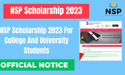 NSP Scholarship 2023 For College And University Students