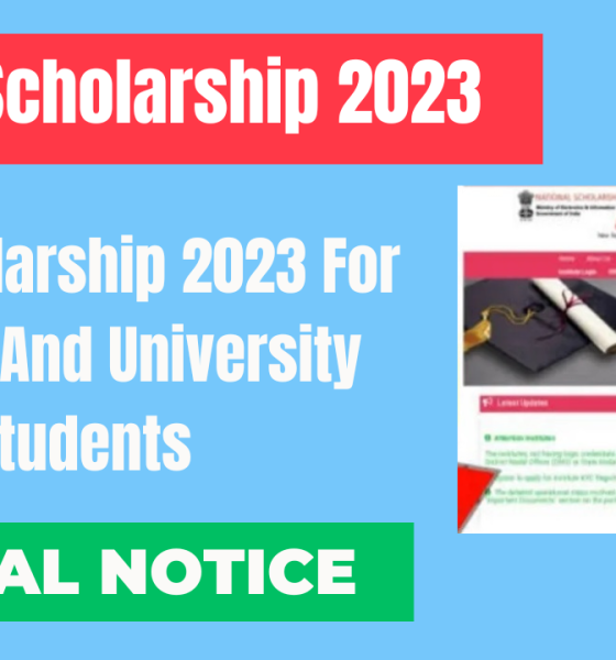 NSP Scholarship 2023 For College And University Students